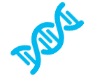 DNA DNA